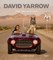 David Yarrow
