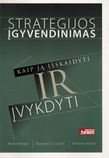 Strategijos įgyvendinimas