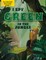 I Spy Green in the Jungle