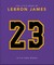Orange Hippo!: Little Book of Lebron James