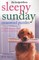 The New York Times Sleepy Sunday Crossword Puzzles