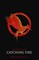 The Hunger Games 2. Catching Fire