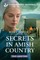 Secrets in Amish Country
