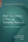 Recent Developments in Real and Harmonic Analysis