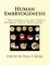 Human Embryogenesis