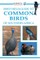 First Field Guide to Common Birds of Southern Africa