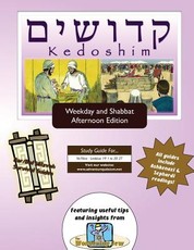Bar/Bat Mitzvah Survival Guides