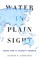 Water in Plain Sight