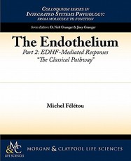 The Endothelium, Part II