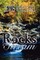 Rocks in the Stream