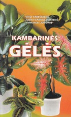 Kambarinės gėlės (2000)