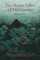 The Water Lilies of Mishipeshu