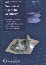 Numerical Algebraic Geometry