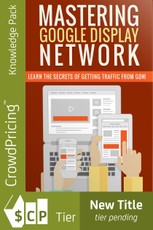 Mastering Google Display Network