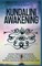 Kundalini Awakening