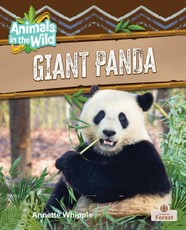 Giant Panda