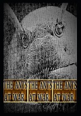 The Ants at War