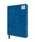Vincent Van Gogh: The Starry Night Artisan Art Blank Notebook (Flame Tree Journals)