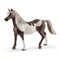 SCHLEICH HORSE CLUB Paintų veislės eržilas