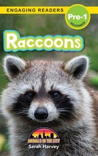 Raccoons
