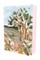 Bronte, C: Jane Eyre (Painted Editions)