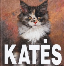 Katės