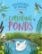 Exploring Ponds
