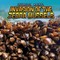 Invasion of the Zebra Mussels