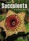 Guide to Succulents of Southern Africa