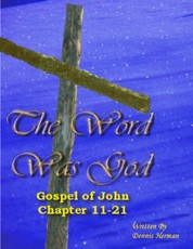 The Word Was God:  Gospel of John Chapter 11-21