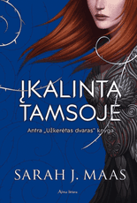 Įkalinta tamsoje. Antra „Užkerėto dvaro“ knyga