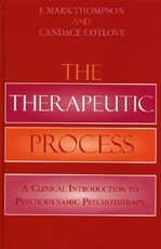 The Therapeutic Process