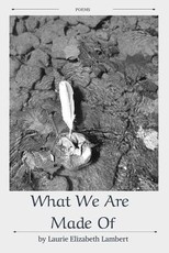 What We Are Made of