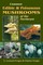 Common Edible & Poisonous Mushrooms of the Northeast (el. knyga)