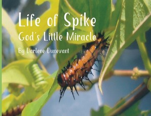 Life of Spike