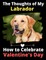 The Thoughts of My Labrador