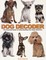 The Dog Decoder: The Essential Guide to Understanding Your Dog's Behavior
