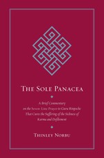 The Sole Panacea
