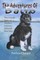 Adventures of Balto