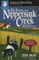 Farm on Nippersink Creek