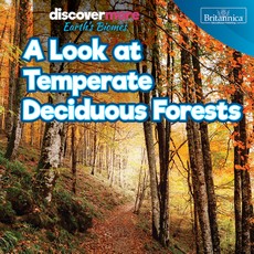 A Look at Temperate Deciduous Forests