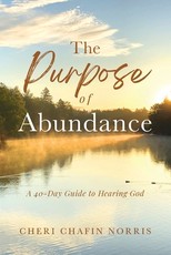 The Purpose of Abundance