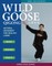 Wild Goose Qigong