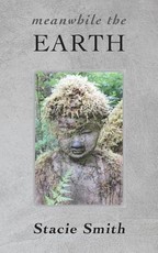 Meanwhile the Earth