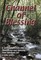 Channel of Blessing