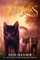 Warriors: A Starless Clan 02: Sky
