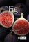 The Fig