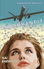 Broomhandle