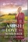 An Amish Love to Remember