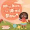 Why Does the Wind Blow?